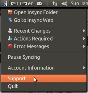 insync ubuntu package name