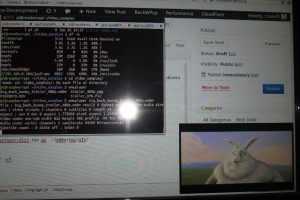 download mpeg and vc1 codec for raspberry pi