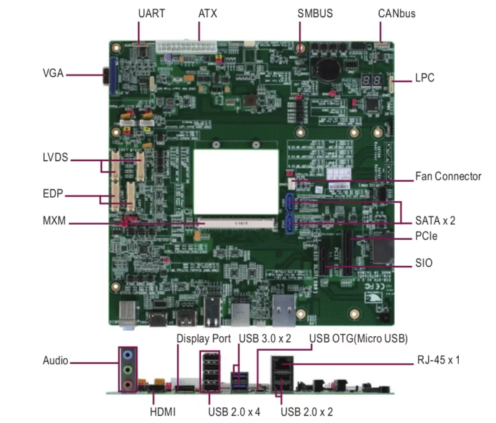 AAEON ECB-970G Qseven carrier board