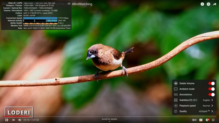 CINCOZE DS-1402 YouTube 8K 60 FPS Ubuntu Firefox Morning