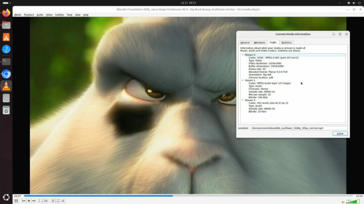 Big Buck Bunny VLC mp4 codec 1080 30fps